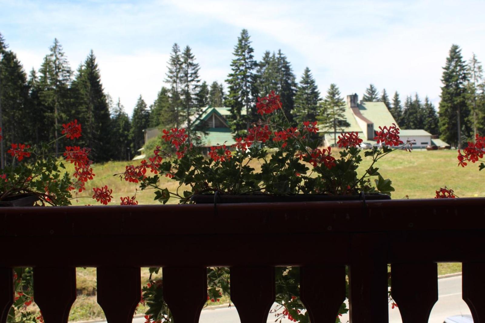 In Hotel Zlatar Ex Zlatarski Biseri Nova Varoš Εξωτερικό φωτογραφία
