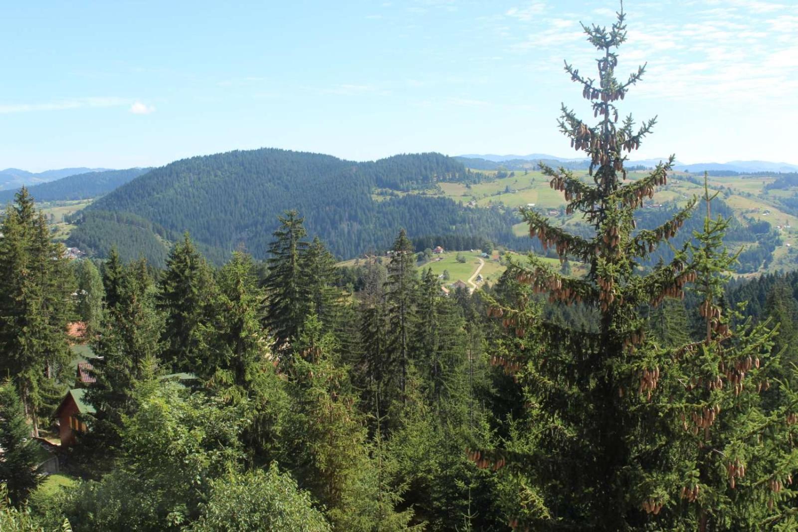 In Hotel Zlatar Ex Zlatarski Biseri Nova Varoš Εξωτερικό φωτογραφία